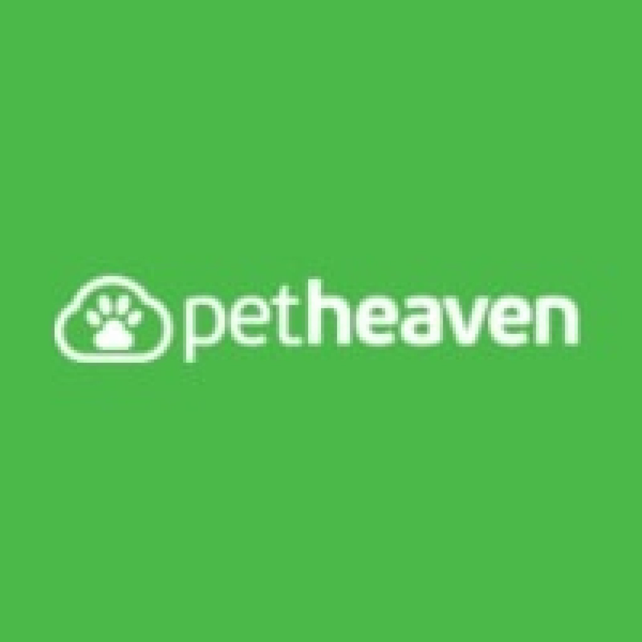 Pet Heaven Tampa S Non Profit Organizations Providing Free Pets